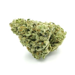 LEMON CHERRY GELATO Hybrid