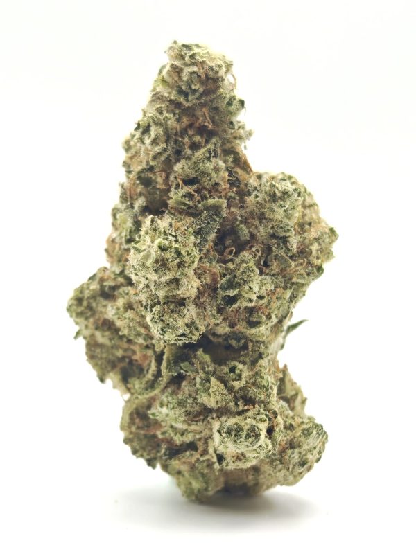 SUPER GLUE Indica Dominant Hybrid - Image 2