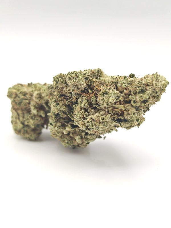 SUPER GLUE Indica Dominant Hybrid - Image 5