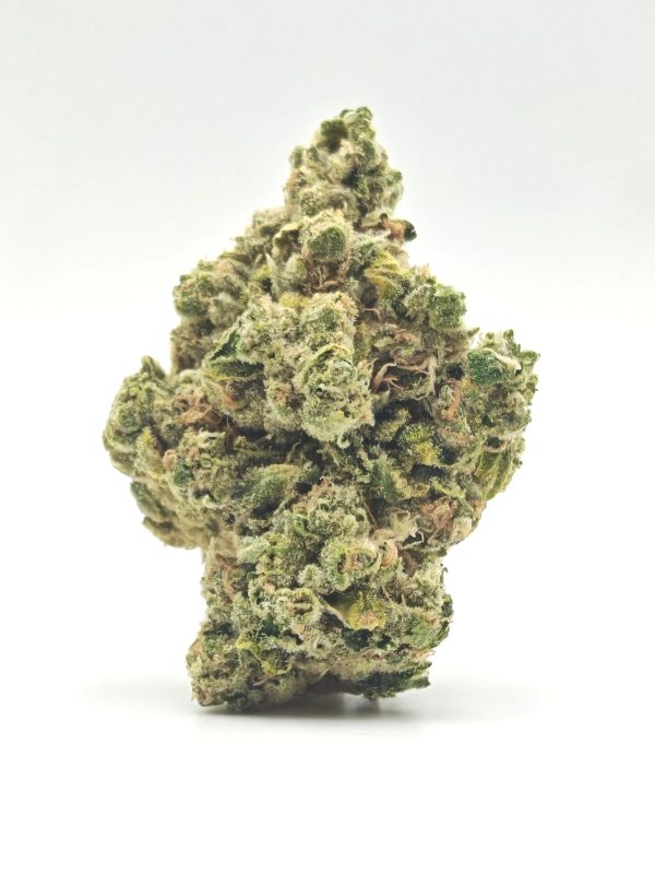 ORANGE BLOSSOM Sativa Dominant Hybrid