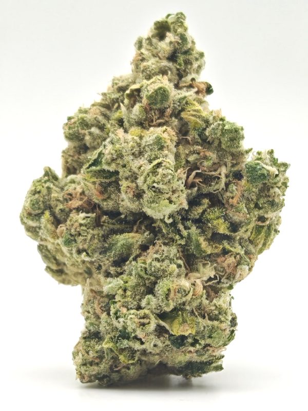 ORANGE BLOSSOM Sativa Dominant Hybrid - Image 2