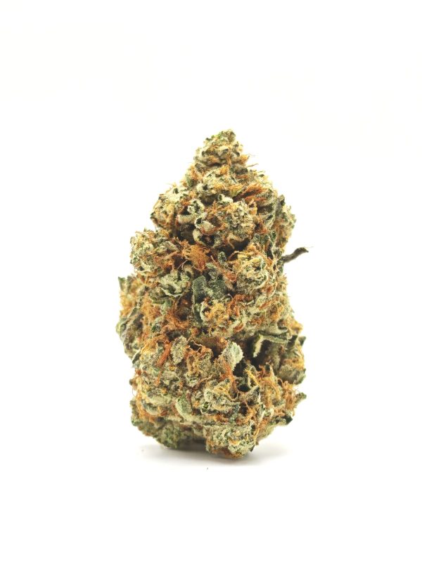 TUTTI FRUTTI Sativa Dominant Hybrid