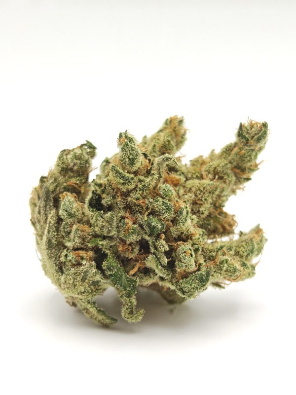 BLUE DREAM Prmm Sativa Hybrid - Image 4