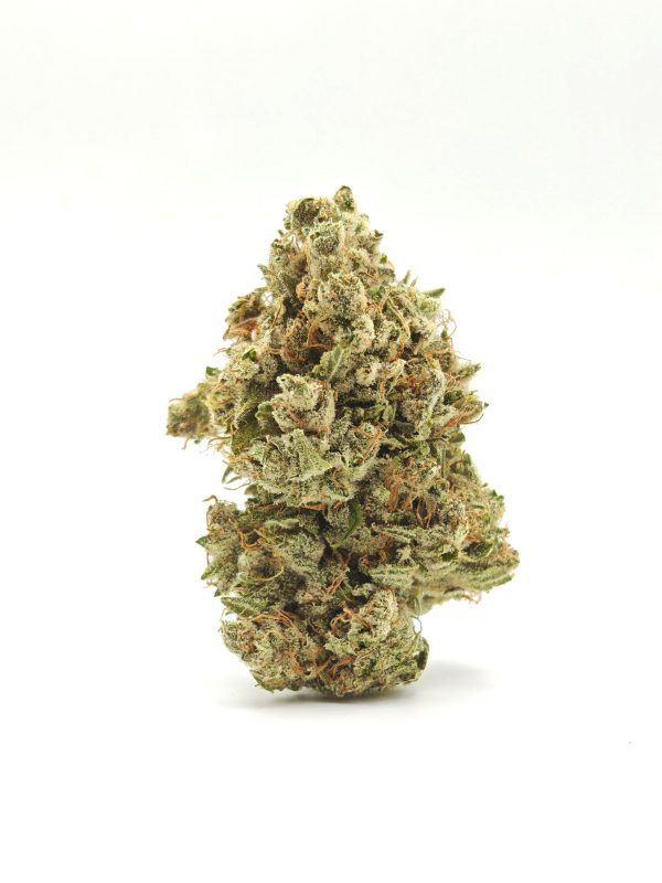 NORTHERN LIGHTS Prmm Indica