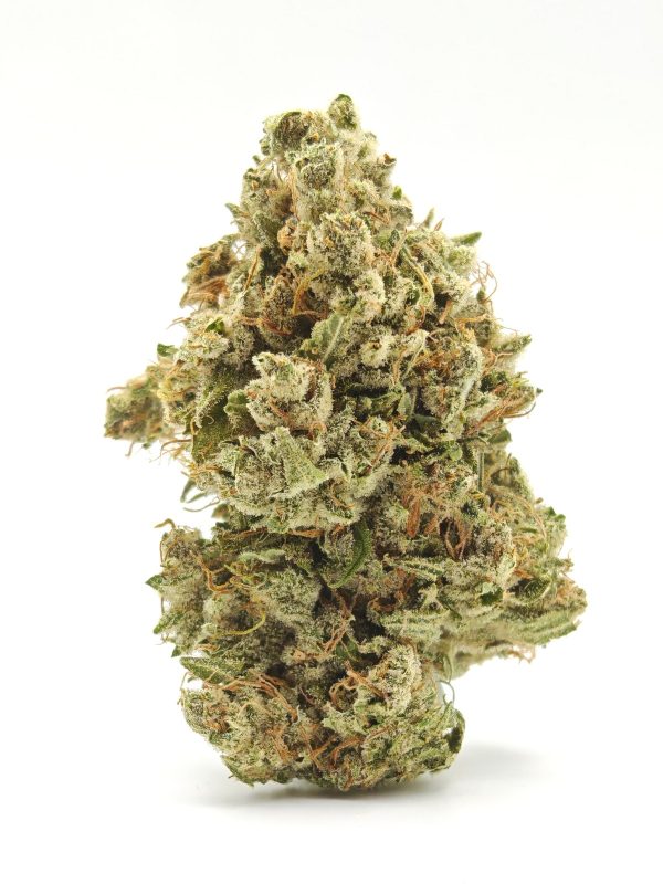 NORTHERN LIGHTS Prmm Indica - Image 2