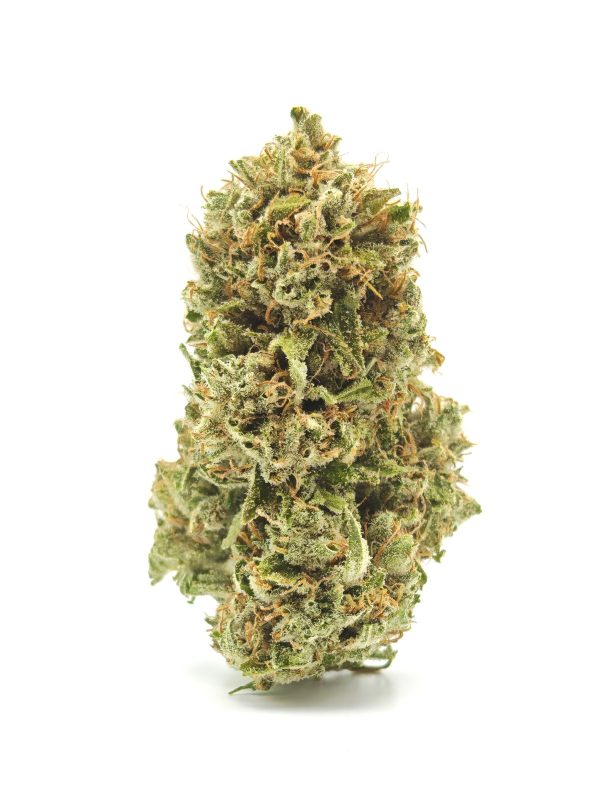 NORTHERN LIGHTS Prmm Indica - Image 3