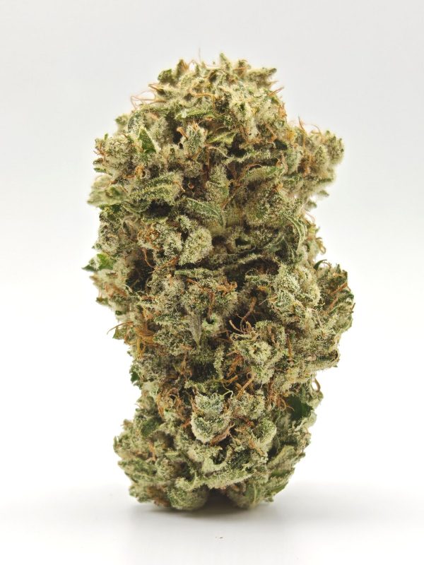 NORTHERN LIGHTS Prmm Indica - Image 4