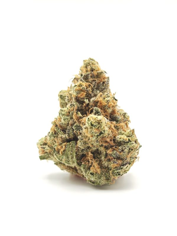 SUGAR PLUM Sativa Hybrid