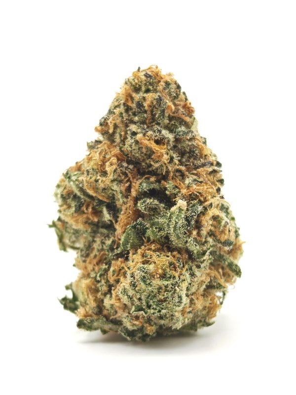 SUGAR PLUM Sativa Hybrid - Image 3
