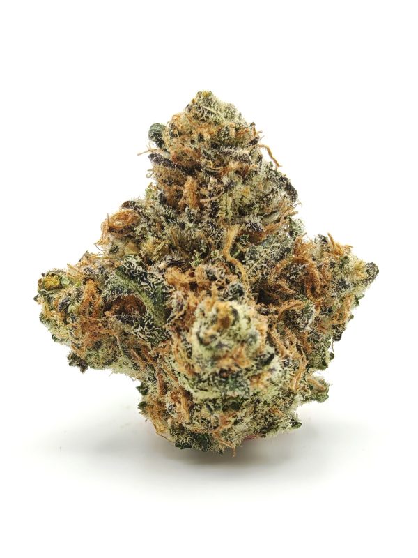 SUGAR PLUM Sativa Hybrid - Image 4