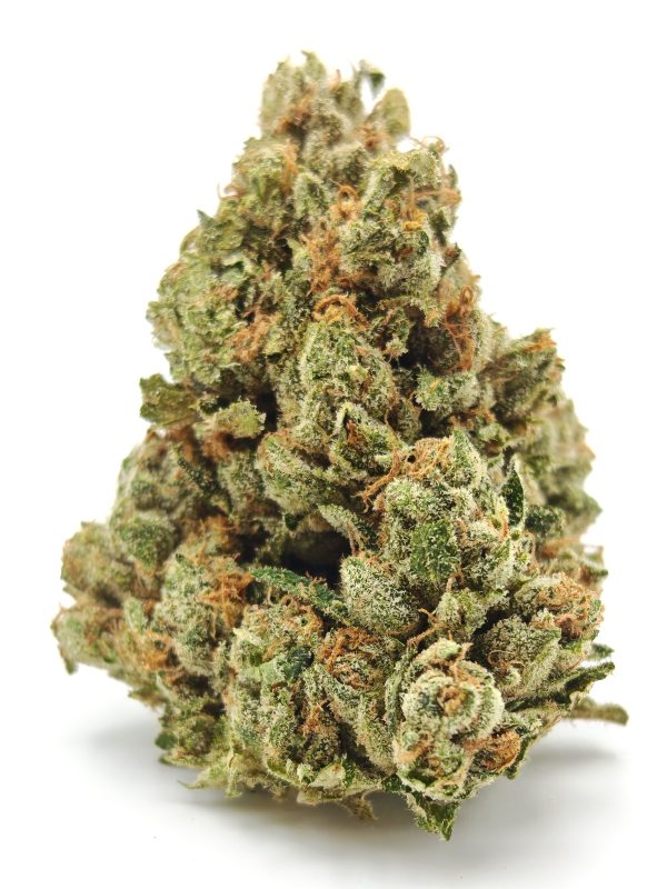 OG KUSH Indica Hybrid - Image 2
