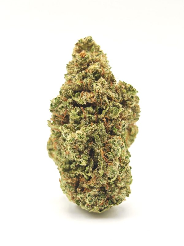 JACK FROST Sativa Hybrid