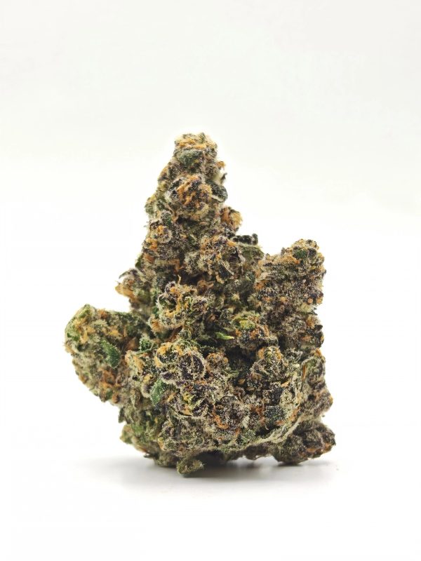 PERMANENT PAYTON Indica Hybrid - Image 5