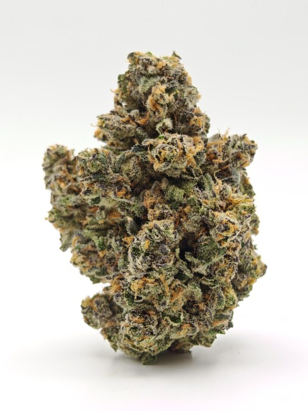 PERMANENT PAYTON Indica Hybrid - Image 2