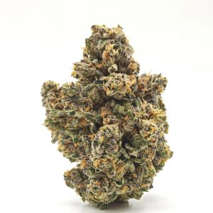 PERMANENT PAYTON Indica Hybrid