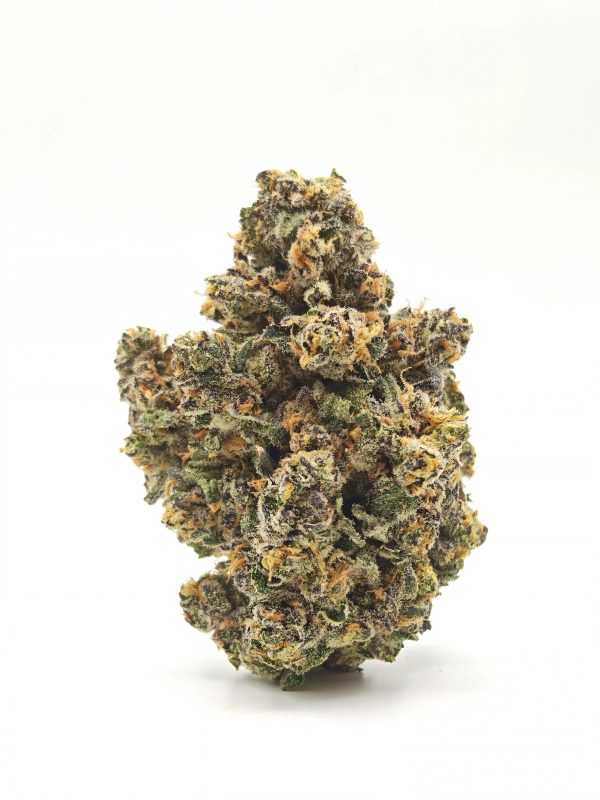 PERMANENT PAYTON Indica Hybrid