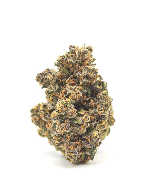 PERMANENT PAYTON Indica Hybrid - Image 3