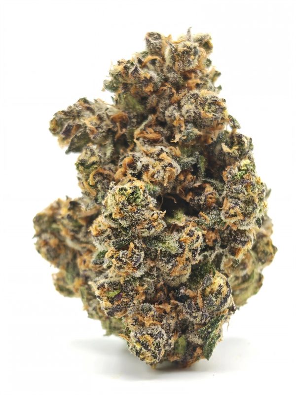 PERMANENT PAYTON Indica Hybrid - Image 4
