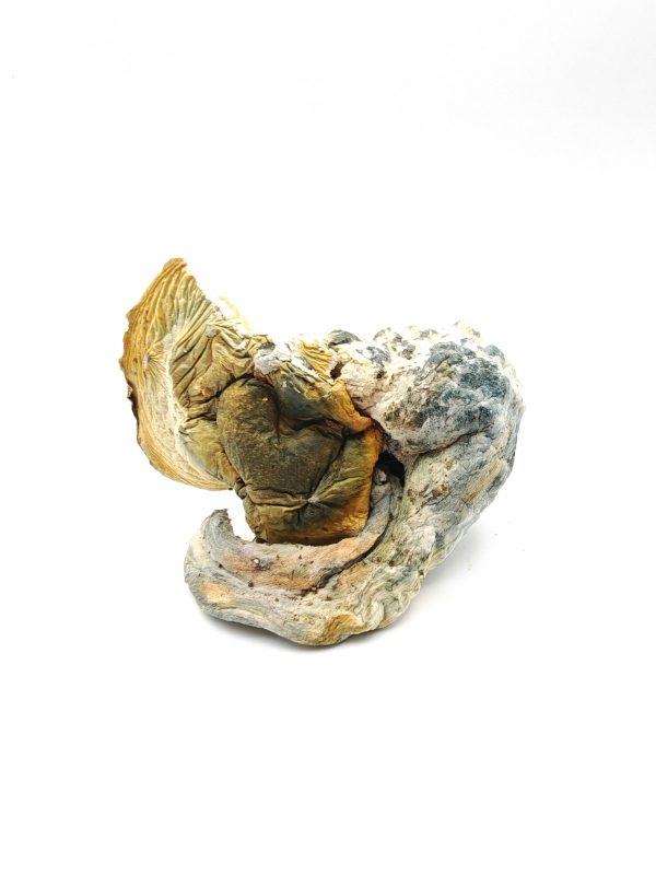 BLUEY VUITTON Psilocybin Mushrooms 28g