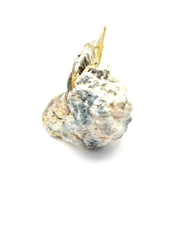 BLUEY VUITTON Psilocybin Mushrooms 28g - Image 2