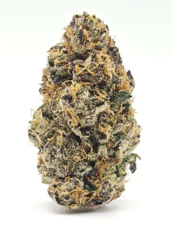 ROSE Indica Hybrid - Image 2