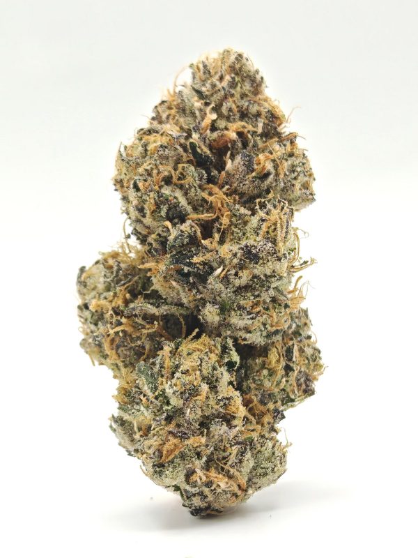 ROSE Indica Hybrid - Image 3