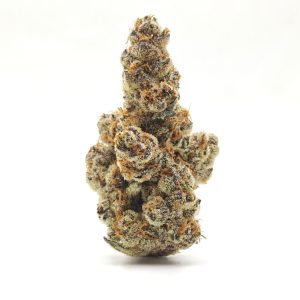 MANGO HAZE Sativa Hybrid