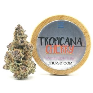 TROPICANA CHERRY Sativa Hybrid