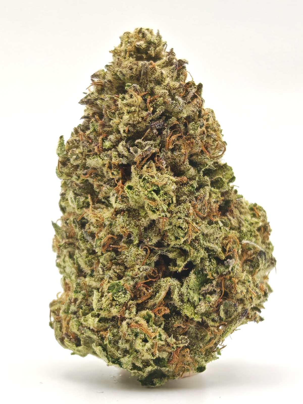 CEREAL MILK Hybrid - Image 2