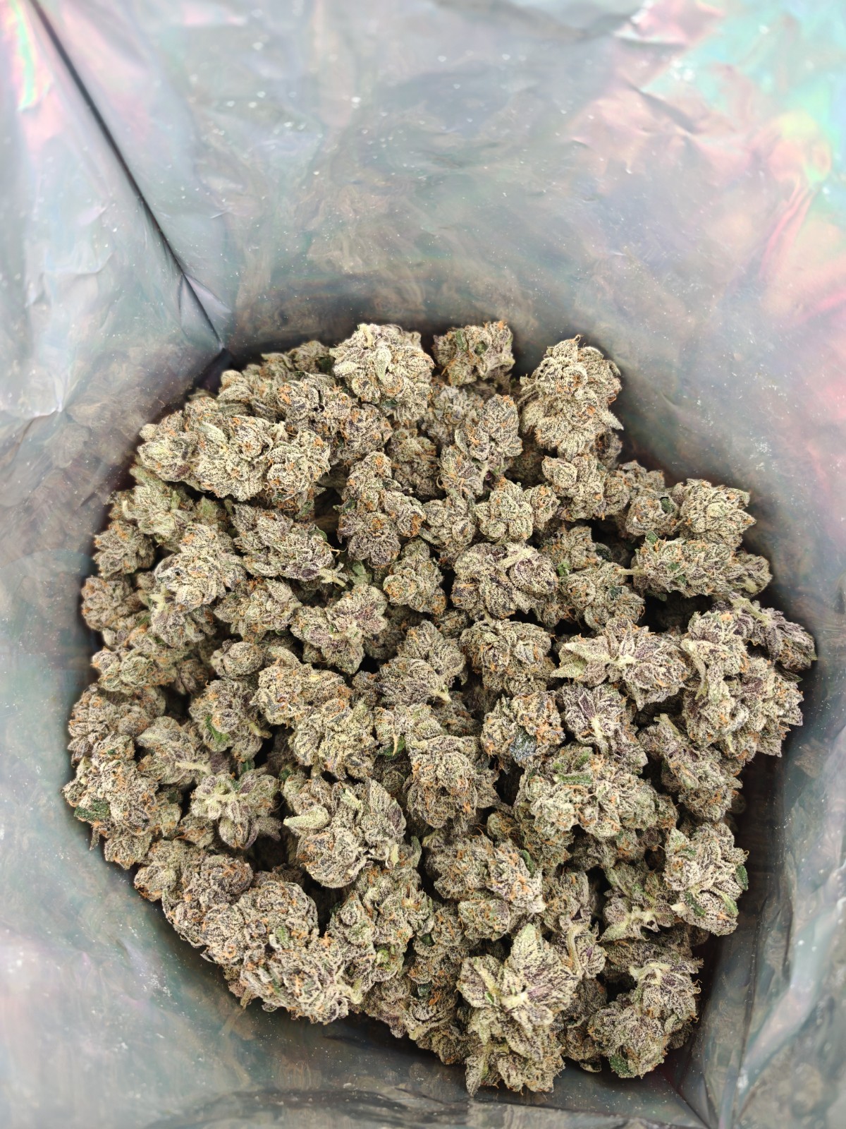 G3 Cultivator's SOUR PEACHES Indica Hybrid - Image 4