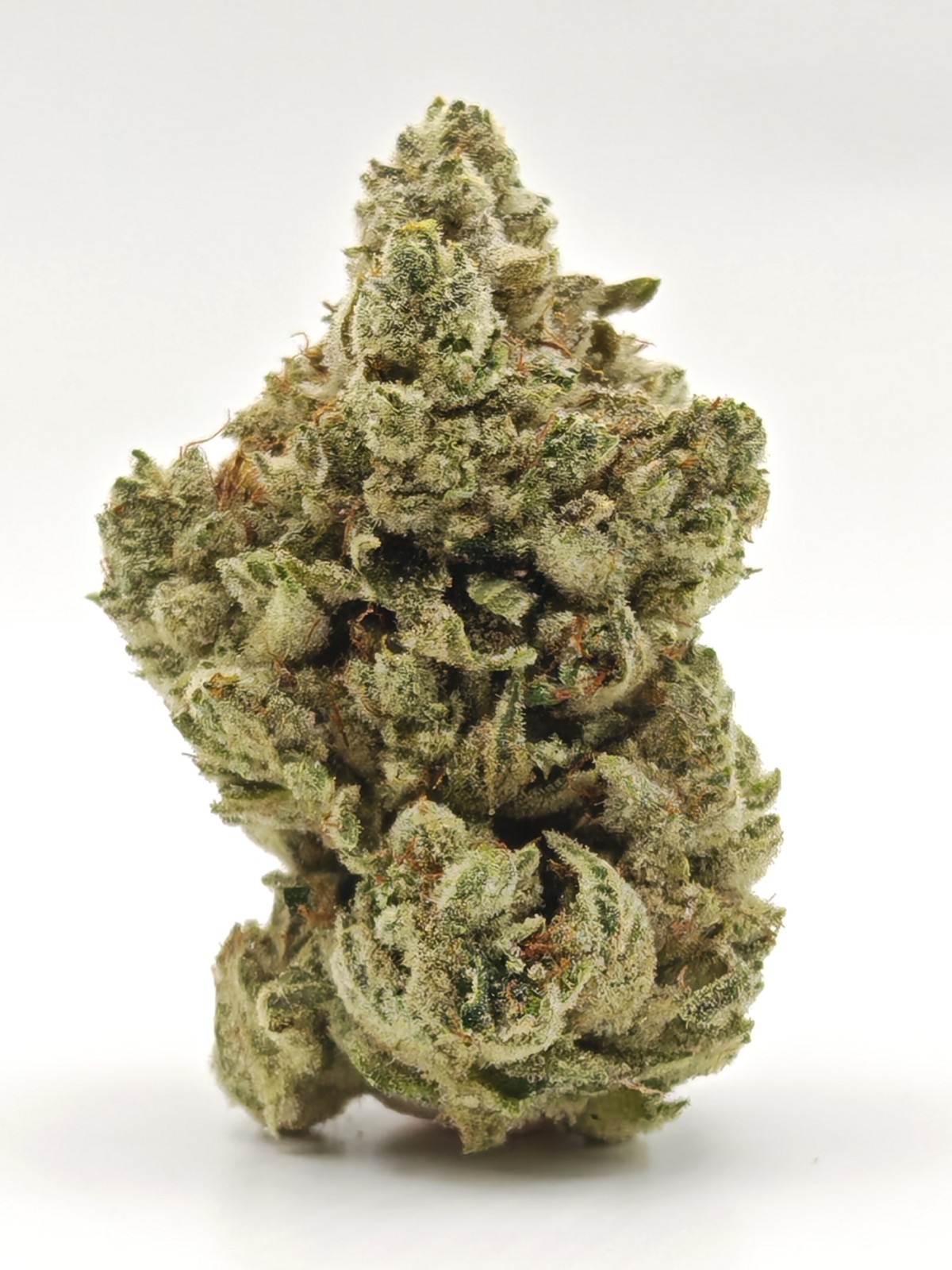 GORILLA GLUE #4 Indica Hybrid - Image 3