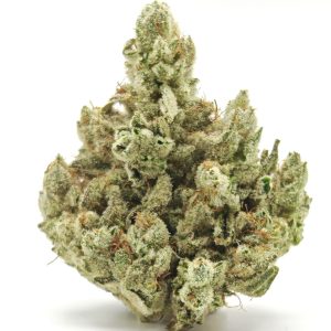 GORILLA GLUE #4 Indica Hybrid