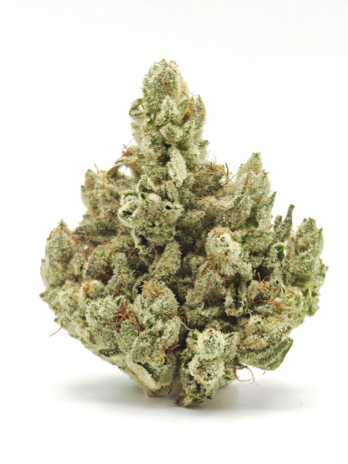 GORILLA GLUE #4 Indica Hybrid