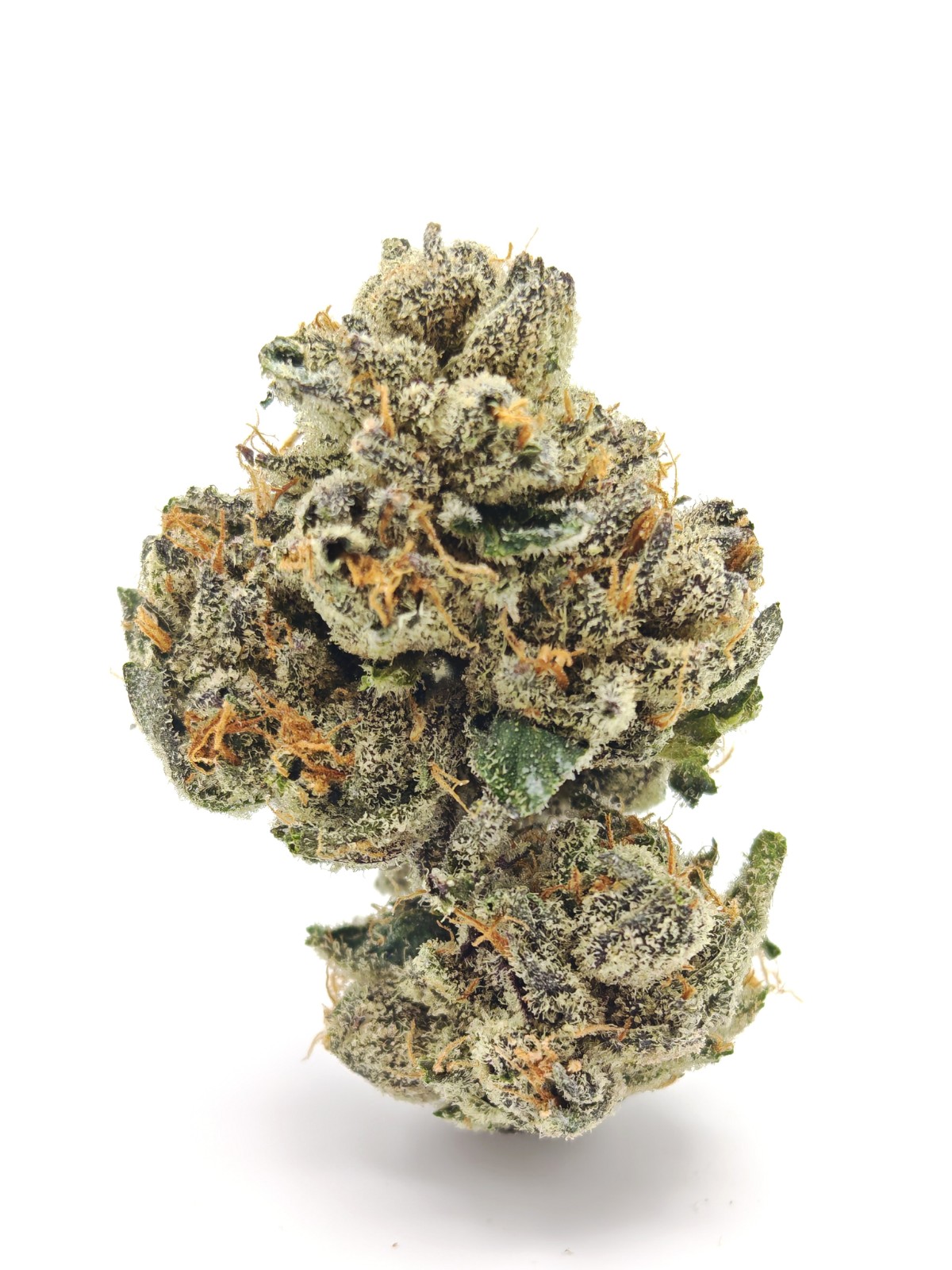 G3 Cultivator's SOUR PEACHES Indica Hybrid - Image 3