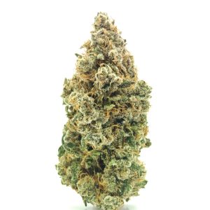 XJ-13 Sativa Hybrid