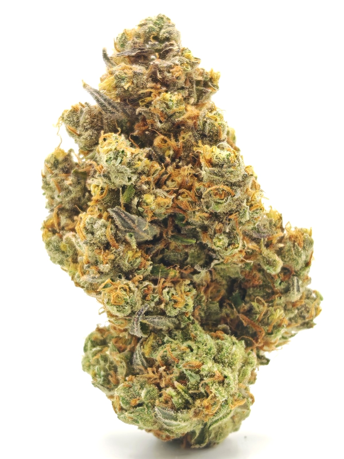 SUPER SILVER HAZE Sativa - Image 2