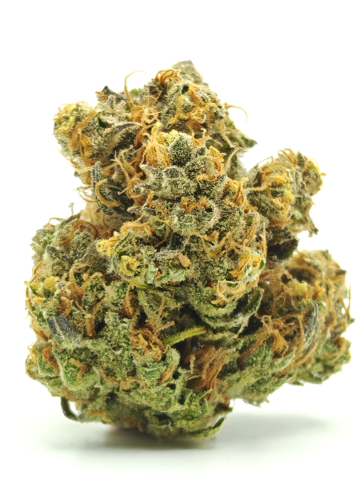 SUPER SILVER HAZE Sativa - Image 3