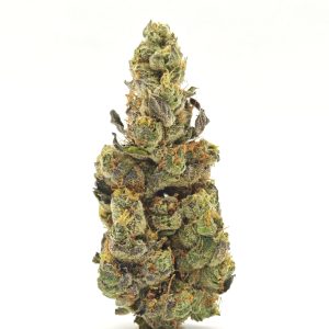 GMO Garlic Cookies Indica Hybrid