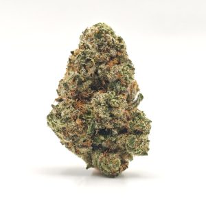 KEY LIME JACK Sativa Hybrid