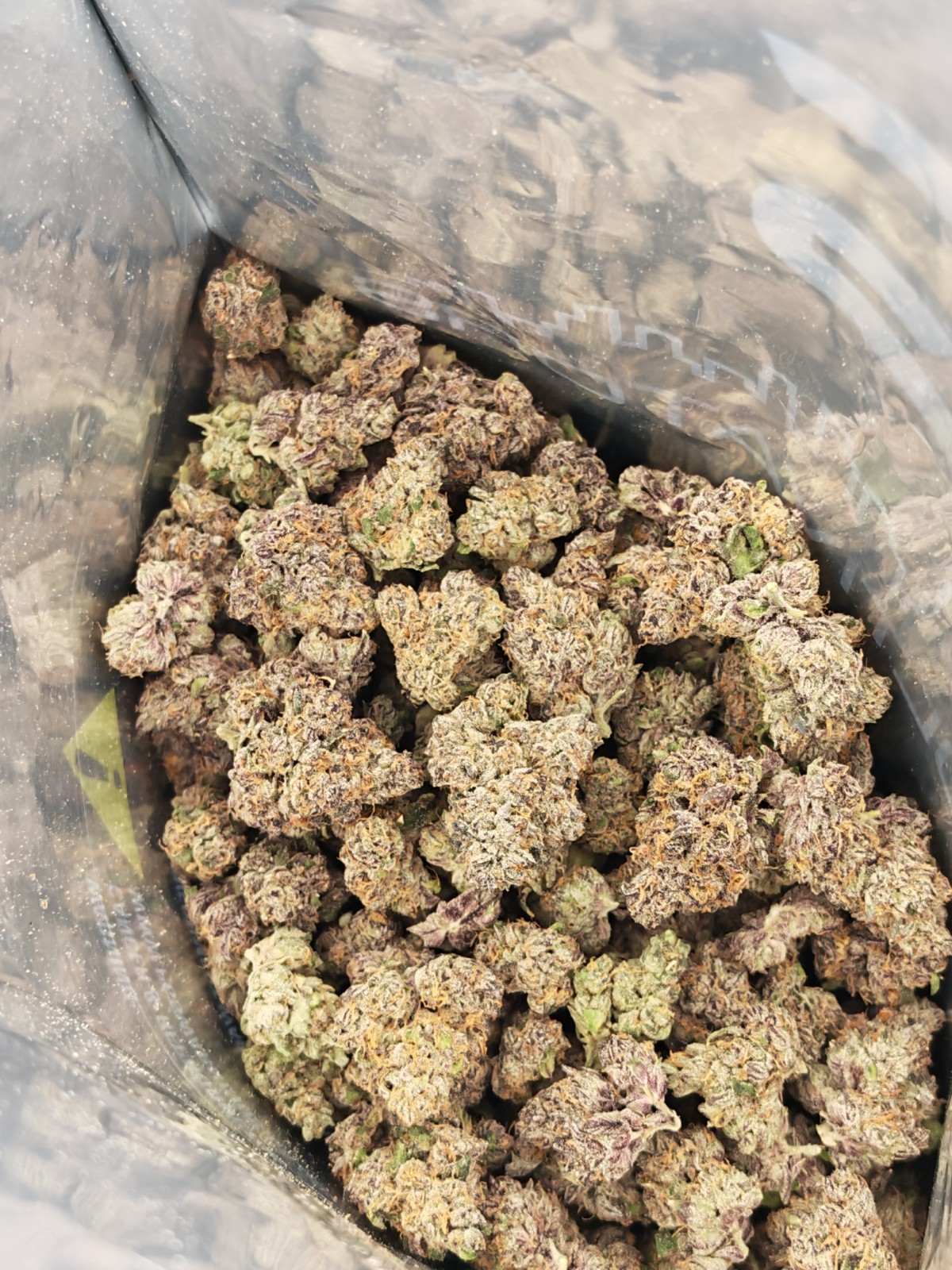 G3 Cultivators TROPICAL MILK Sativa Hybrid - Image 3