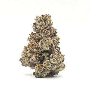 G3 Cultivators TROPICAL MILK Sativa Hybrid