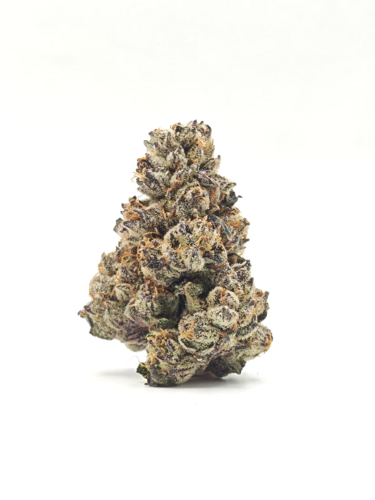 G3 Cultivators TROPICAL MILK Sativa Hybrid