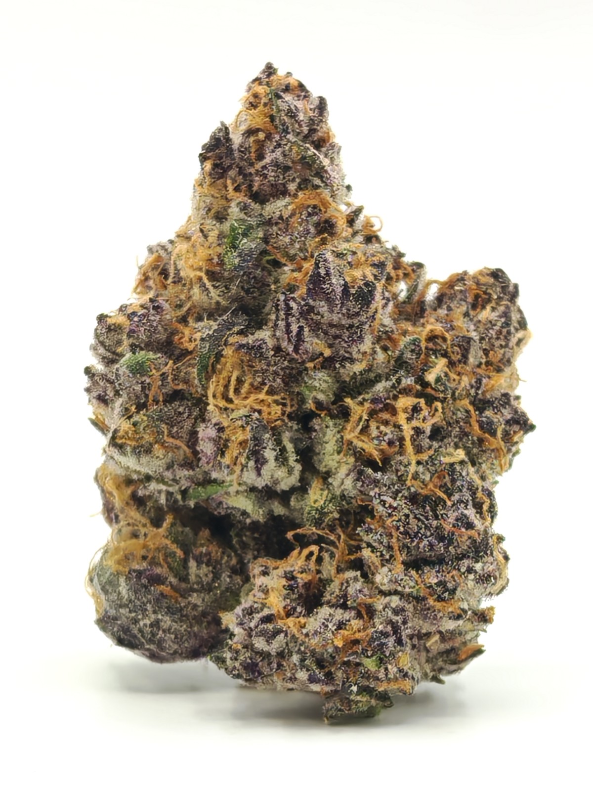 G3 Cultivators TROPICAL MILK Sativa Hybrid - Image 2