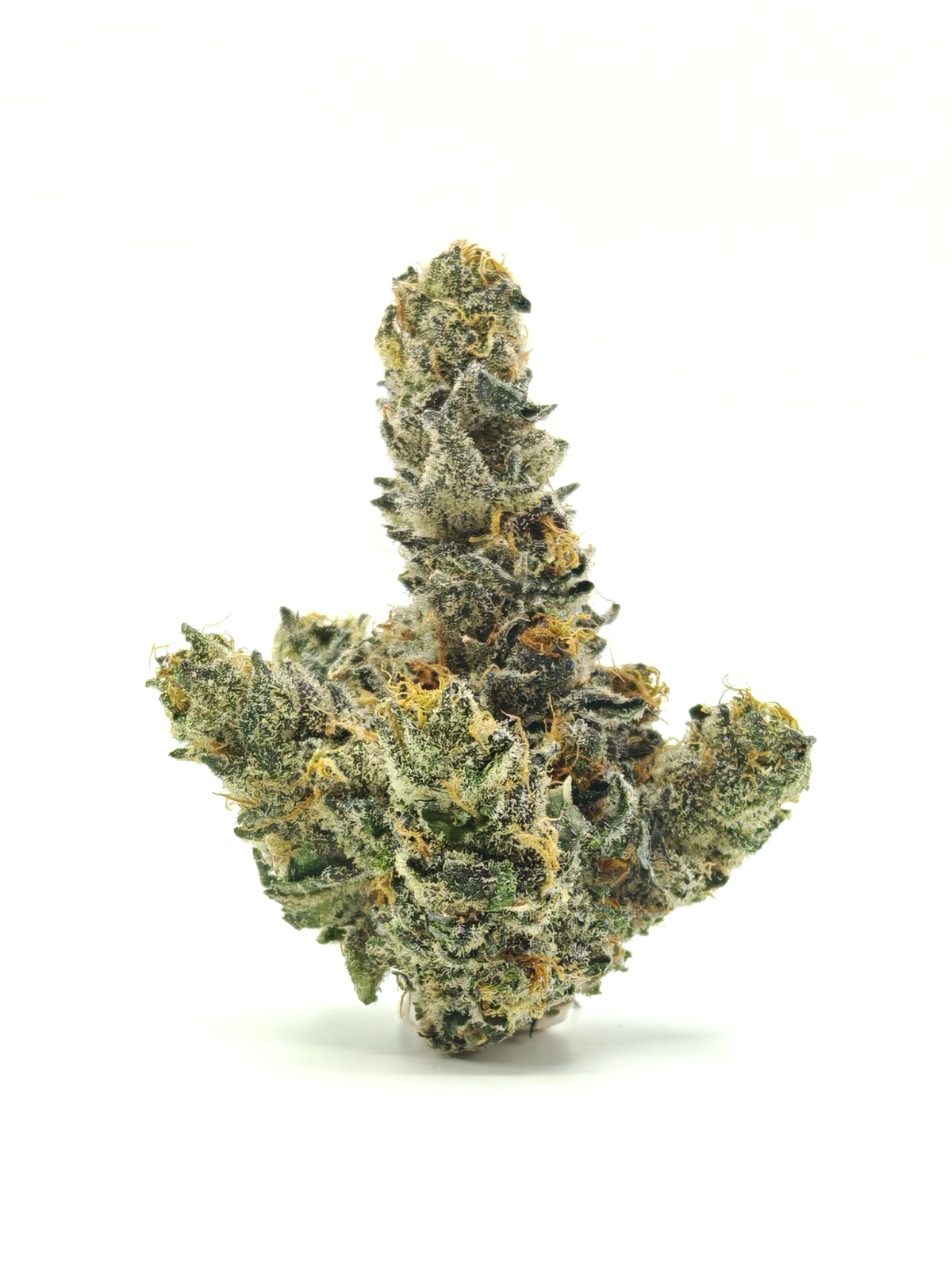 G3 YELLOW PASSION FRUIT Sativa Hybrid