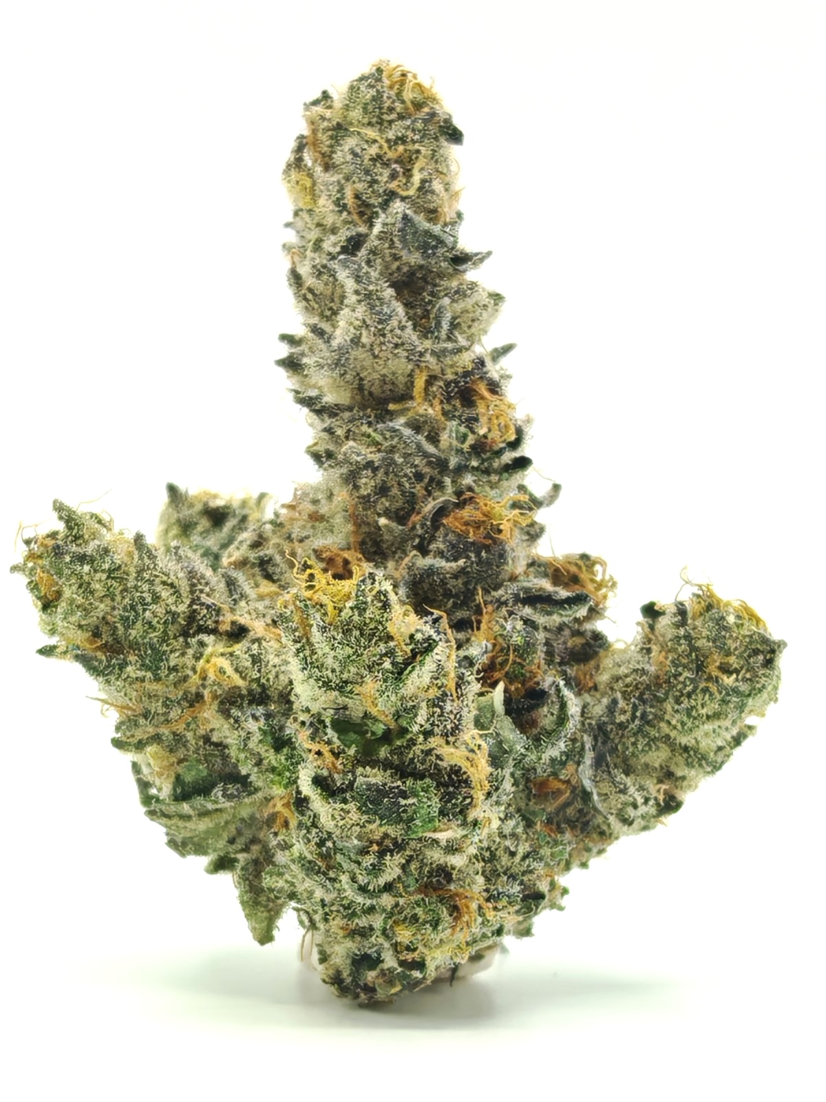 G3 YELLOW PASSION FRUIT Sativa Hybrid - Image 2