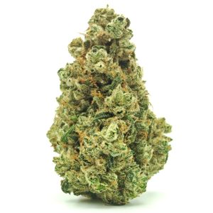 CANDY JACK Sativa