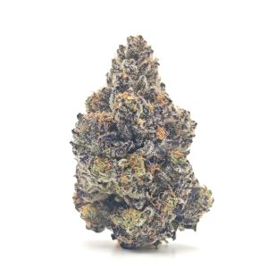 PURPLE BLUEBERRY Indica Hybrid