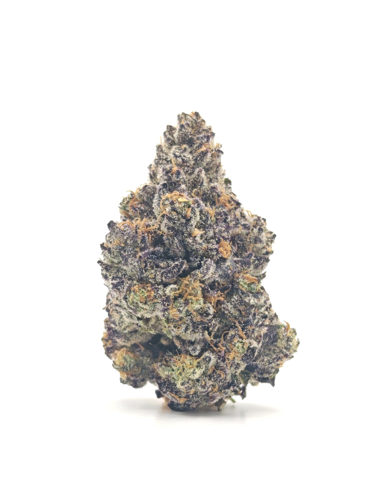 PURPLE BLUEBERRY Indica Hybrid