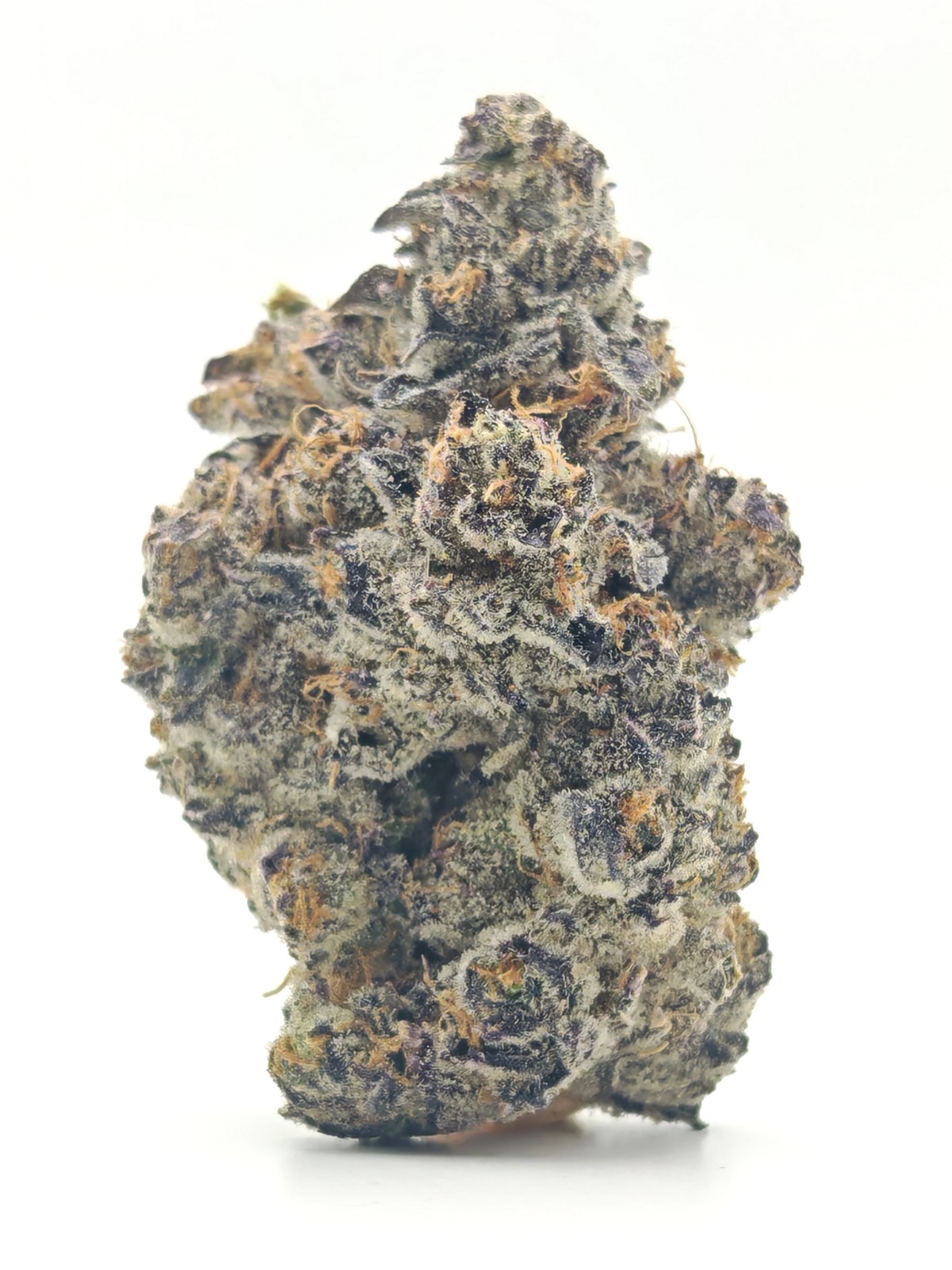 PURPLE BLUEBERRY Indica Hybrid - Image 3