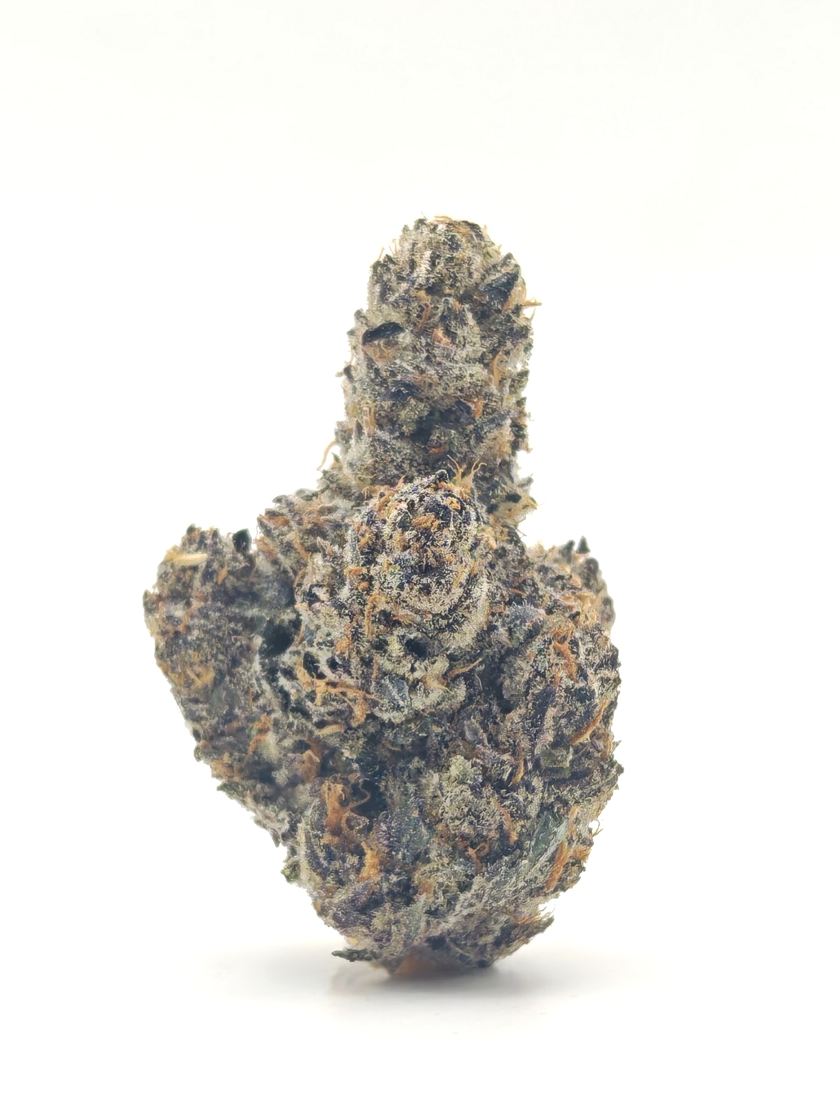 G3 Cultivator's CRUNCH BERRIES Indica Hybrid